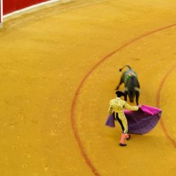 Jose-Luis-Tercero-Moreno_Torero_11-2021-libre