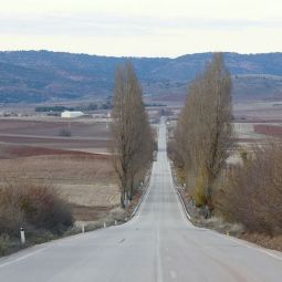Julian-Martinez-Gutierrez_Vuelta-a-casa_11-2021-Caminos