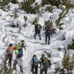 Roberto-Martin-Arranz_SUBIDA-EN-Z_11-2021-Caminos