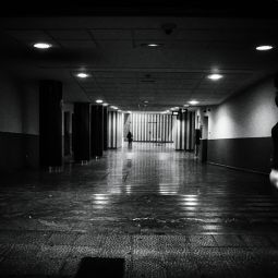 1_JLM2917