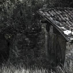 Antonio-Melendez_Abandono_obligado_septiembre_09-2019_Obligado