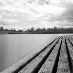 Antonio-Melendez_Quietud_05-2019_Obligado