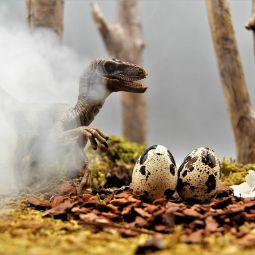 Concepcion-Escudero-Torres-Solanot_velociraptor_01-2019_Obligado