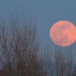 Jose-Garde_Luna-lunera_02-2019_Libre