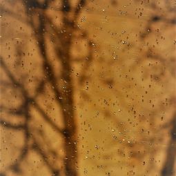 Jose-Luis-Tercero-M_Sombra-en-la-lluvia_03-2019_Libre