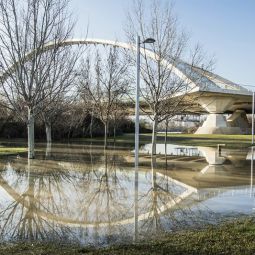 Jose-Miguel-Gomez-Lopez_Reclejo_01-2022-Rio Ebro