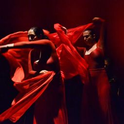 Jose-Miguel-Latasa-Yuste_Flamenco-en-rojo_10-2019_Libre