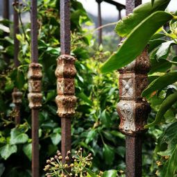 Jose-Pascual_vegetacion-avanzando_05-2019_Libre