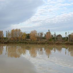 Julian-Martinez-Gutierrez_RIBERA-TUDELANA_01-2022-Rio Ebro