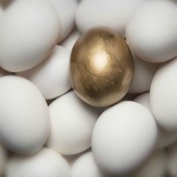 Julio-Lopez-Morata_LA-GALLINA-DE-LOS-HUEVOS-DE-ORO_01-2019_Obligado