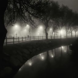 Julio-Lopez-Morata_NIEBLA-EN-EL-CANAL_01-2019_Libre_Ganadora-del-mes