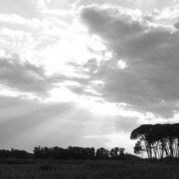 Margarita-Delgado_Atardecer_05-2019_Obligado