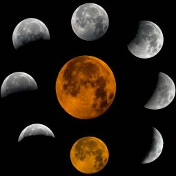 Miguel-Angel-Macias_Eclipse-Lunar_01-2019_Libre