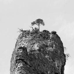 Pedro-Medrano_Soledad_05-2019_Obligado
