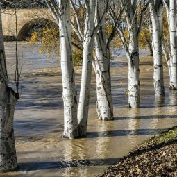 Roberto-Martin-Arranz_CON-EL-AGUA-HASTA-EL-CUELLO_01-2022-Rio Ebro