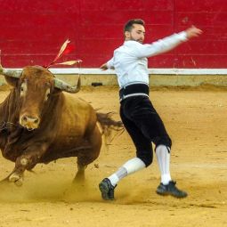 Santiago-Choliz_Recortadores_11-2019_Libre_Ganadora-del-mes