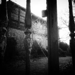 Susana-Carreras_Abandono_09-2019_Obligado