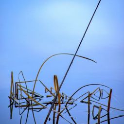 Vicente-Gonzalez_Reflejos_02-2019_Libre