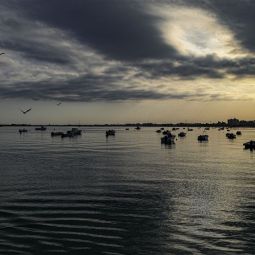 Antonio-Sanchez-Viñeque_Amanecer-en-San-Lucar_02-2022-Libre