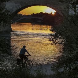 Jose-Miguel-Bienzobas-Arellano_El-Dorado_02-2022-A Contraluz