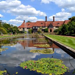 Jose-Miguel-Latasa-Yuste_Wisley-Gardens_02-2022-Libre