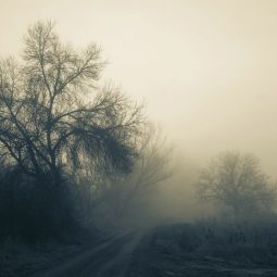 Jose-Ramon-Blanco-Garcia_ENTRE-NIEBLA_02-2022-A Contraluz