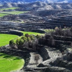 Mariano-Royo-Ambroj_Incendio-en-Monegros_02-2022-Libre