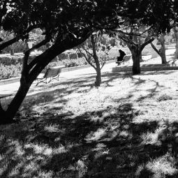 Pilar-Giambanco_Placidez-en-el-parque_02-2022-Libre