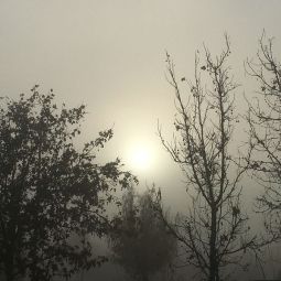 Rosa-Maria-Martinez-Alejaldre_Mañana-de-Invierno_02-2022-A Contraluz