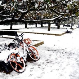 Carlos-Briz-Ponce_La-bicicleta-de-Filomena_04-2022-Libre