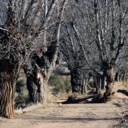 JVeron_3_Fotografías_222-Cercanías