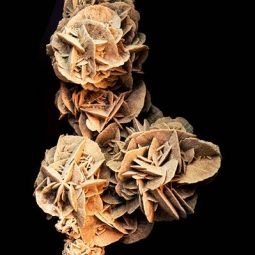 J.-Ignacio-Garcia-Palacin_Rosa_05-2022-Geometría Naturaleza