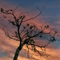 Javier-Villagrasa_tristeza_05-2022-libre
