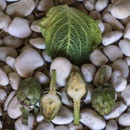 Rosa-Maria-Martinez-Alejaldre_Verduras-antisimetricas_05-2022-Geometría Naturaleza