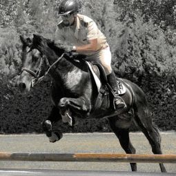 Vicente-Simon-Rando_Salto_05-2022-libre