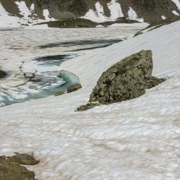 Roberto-Martin-Arranz_RANA-EN-NIEVE_07-2022-libre