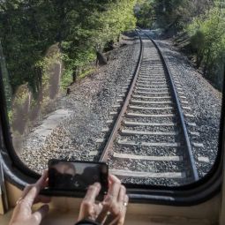Jose-Matute-Murillo_SinTitulo_09-2022-Ferrocarril