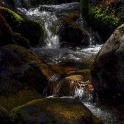 Carlos-Briz-Ponce_Luz-que-acaricia_10-2022-Influencia Luz en el Paisaje