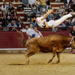 J.-Ignacio-Garcia-Palacin_Salto_10-2022-libre_Accesit