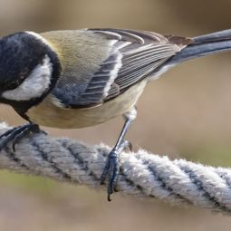 Jose-Ramon-Blanco-Garcia_EL-EQUILIBRISTA_10-2022-libre