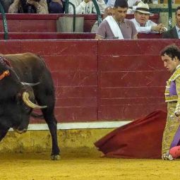Santiago-Choliz_los-toros-09_11-2022-libre