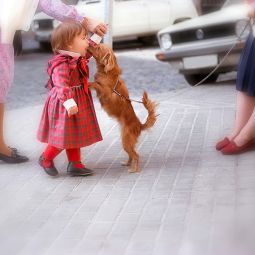 Eduardo-Barcelona-Otal_Besito-de-mascota_06-2023-Mascotas