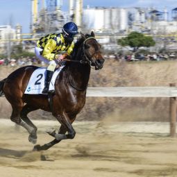 Mariano-Royo-Ambroj_sprint-final_02-2025-Libre