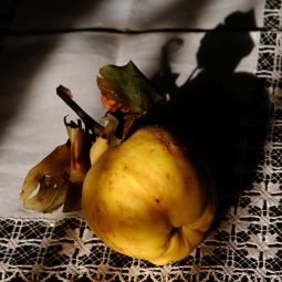 Pilar-Giambanco_MEMBRILLO-CON-DUENDE_10-2025-libre