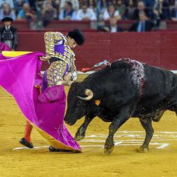 Santiago-Choliz_toros-03_07-2025-libre