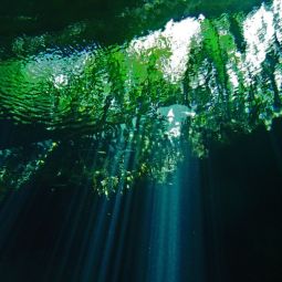 Miriam-Alot-Petsche_Cenote_07-2026-Transicionesluminicas
