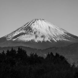 Jesus-Perez-Gresa_Dsc0526_09-2026-Montanabn