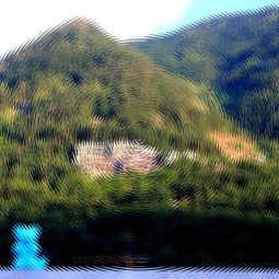 Pedro-Laguna_Osito-Azul_09-Libre