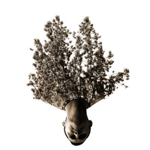 041-ES-LOZAN-M-9211-B4