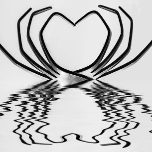 Lukasz Grycicha From stomach to heart. Polonia. 2013